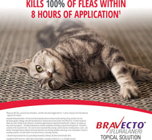 Load image into Gallery viewer, Bravecto Topical Solution for Cats (13.8-27.5 lbs)