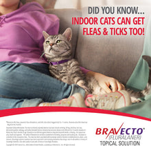 Load image into Gallery viewer, Bravecto Topical Solution for Cats (2.6-6.2 lbs)