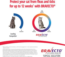 Load image into Gallery viewer, Bravecto Topical Solution for Cats (2.6-6.2 lbs)