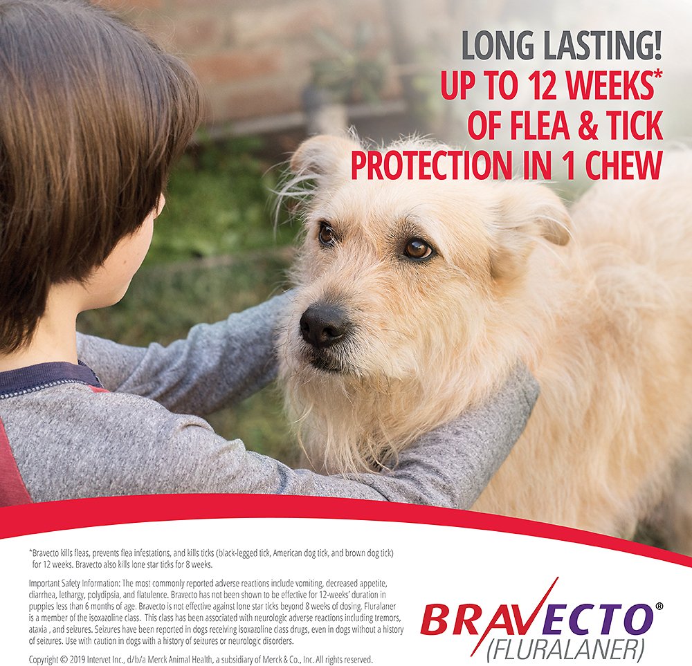 Bravecto xl deals dog