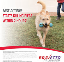 Load image into Gallery viewer, 3x Bravecto M Chews for Dogs (22-44 lbs)