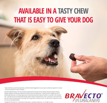 Load image into Gallery viewer, 3x Bravecto L Chews for Dogs (44-88 lbs)