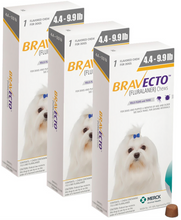 Load image into Gallery viewer, 3x Bravecto XS Chews for Dogs (4.4-9.9 lbs)