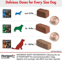 Load image into Gallery viewer, Heartgard Plus Chew for Dogs, 51-100 lbs