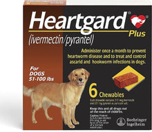 Load image into Gallery viewer, Heartgard Plus Chew for Dogs, 51-100 lbs