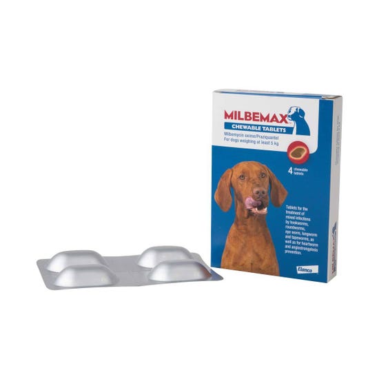 Milbemax chewable best sale tablets for dogs