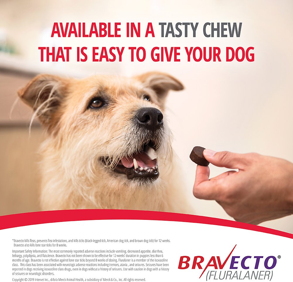 Bravecto for Dogs - fluralaner - 4.4-9.9 lbs (1 chew) - [Flea & Ticks]