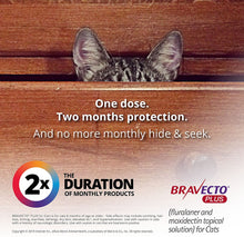Load image into Gallery viewer, Bravecto Plus Topical Solution for Cats  (2.6-6.2 lbs)
