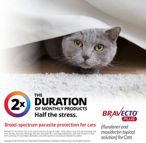 Bravecto Plus Topical Solution for Cats  (2.6-6.2 lbs)